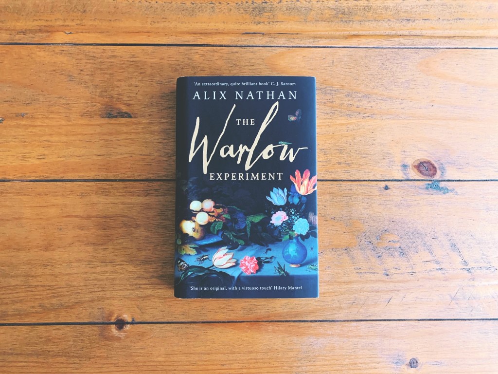 The Warlow Experiment by Alix Nathan hardback copy
